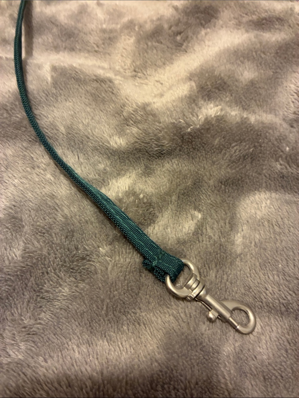 Baggallini Teal Crossbody Bag with Adjustable Strap - Picture 6 of 7